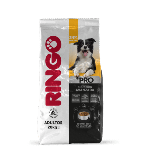 RINGO + PRO ADULTO x 20kg