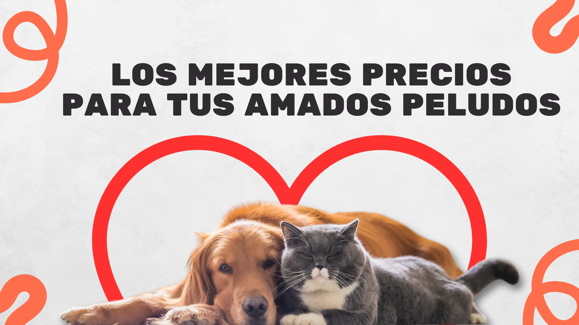 Comida para mascotas — Ver más